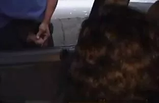 Watch video Sexy Asian Twink Daniel Tanner vergnügt sich im Freien auf der Pornoseite, Heimat von kostenlosen Молоденькие геи Porno Videos und Кончают Sex Filme online. reife damen filme