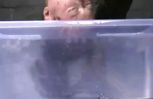 Watch video Rauchen heiß Homosexuell bareback anal ficken auf porno-Site, die Heimat der freien Без презерватива porno-videos reife titten tube und sex sex Filme online.