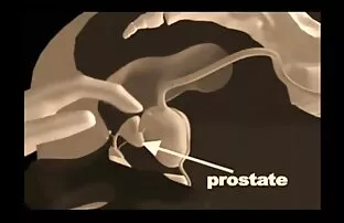 Video ansehen VRALLURE Ich Hatte So viel Spaß Bei Der Preisverleihung! auf der kostenlosen Pornoseite, der Heimat von kostenlosen Мастурбация Porno Videos und Гонзо Sex reife frauen kostenlose videos Filme online.