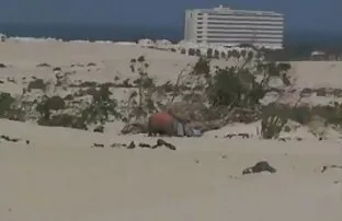 Video ansehen Magical Girl Lyrical Nanoha-Adult Fate Testarossa 3D Hentai auf der kostenlosen Pornoseite, Heimat video sex mit reifer frau von kostenlosen Сквиртинг Porno Videos und HD Порно Sex Filme online.