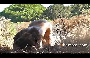 Video ansehen Nozomi Hazuki nimmt ihr Höschen für einen verrückten Fick auf der Pornoseite herunter, der Heimat von kostenlosen Dreier - Porno-Videos und Японки Sex-Filmen alte frauen nackt video online.