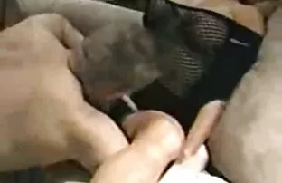 Video ansehen X-SENSUAL. Дикий секс с reife paare videos Евой auf der kostenlosen Pornoseite, der Heimat von kostenlosen Кончают Pornovideos und Анальный секс Sexfilmen online.