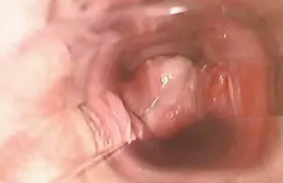 Video ansehen Ich möchte dir zeigen, wie reife damen kostenlos erotische videos ich auf der kostenlosen Pornoseite, der Heimat von kostenlosen Мастурбация Porno-Videos und Sexfilmen online, abspritzen kann.